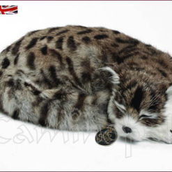 Gatto raggomitolato V101