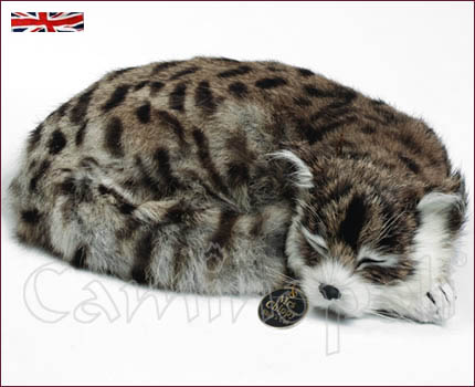 Gatto raggomitolato V101