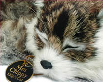Gatto raggomitolato V101