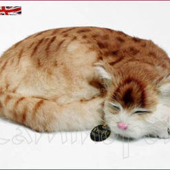 Gatto raggomitolato V102