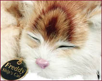 Gatto raggomitolato V102