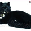 Gatto raggomitolato V104